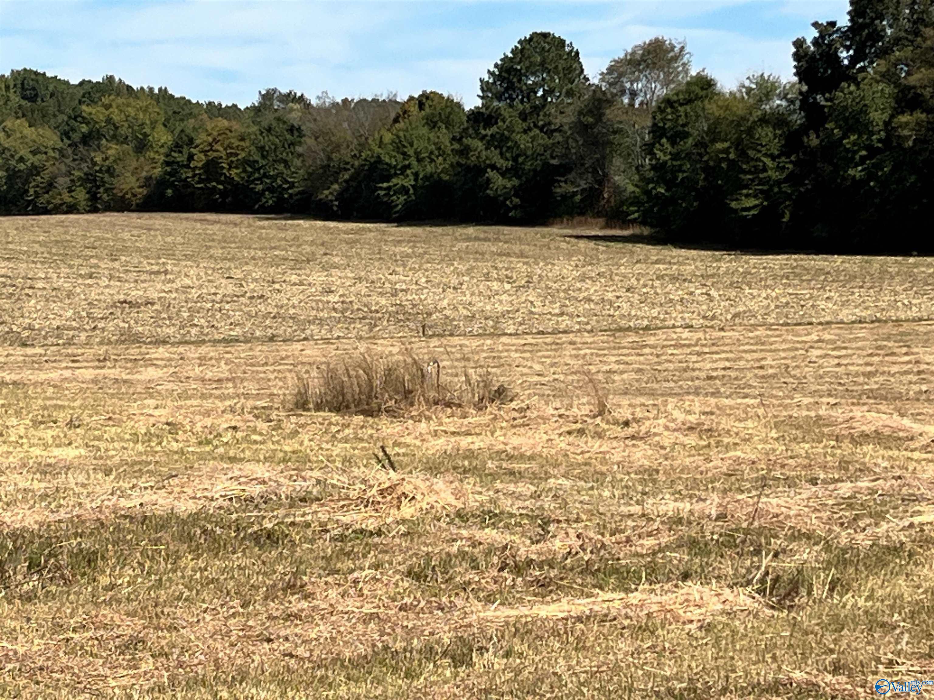 3310 County Road 34, Centre, Alabama image 11