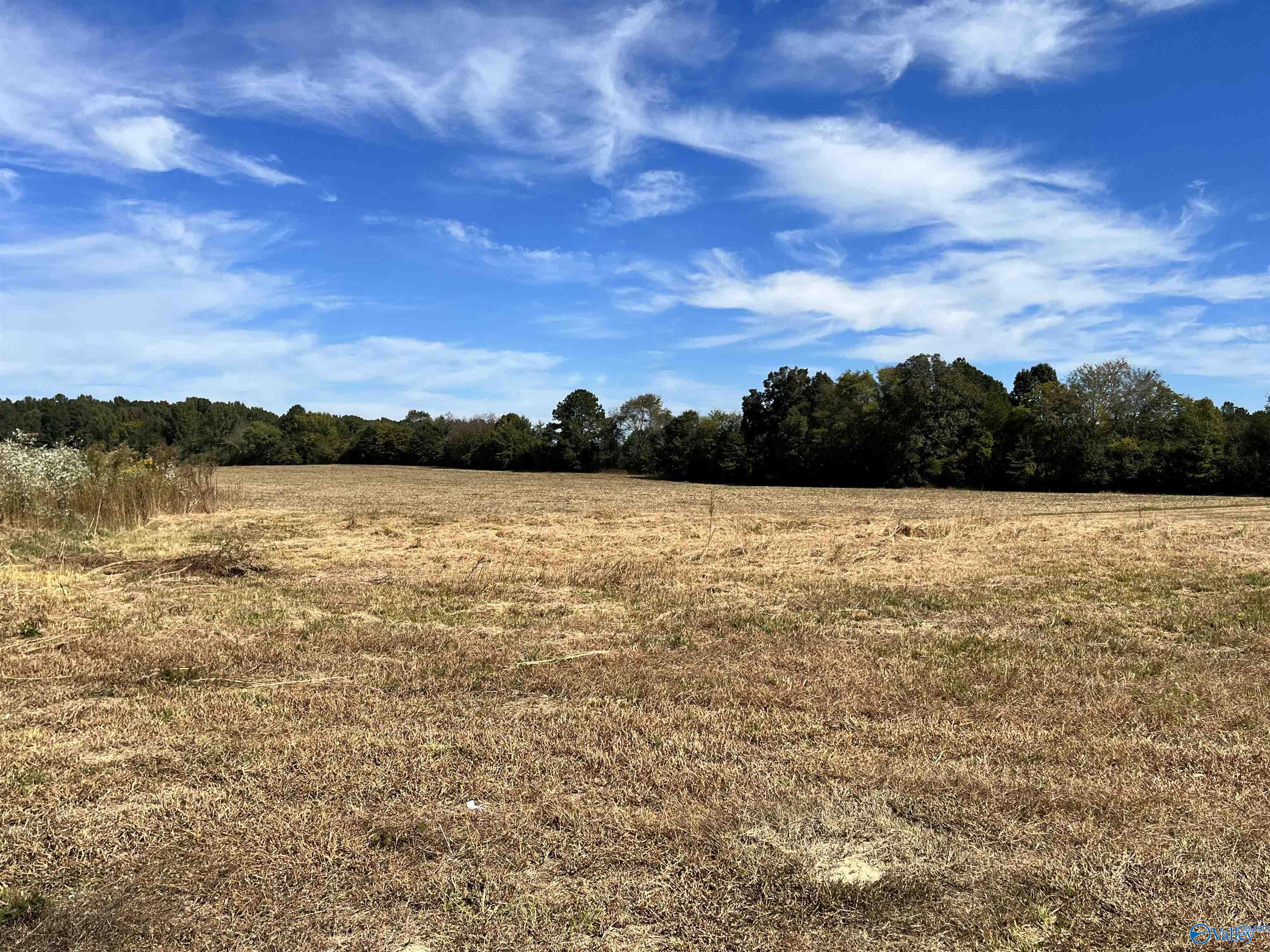 3310 County Road 34, Centre, Alabama image 7