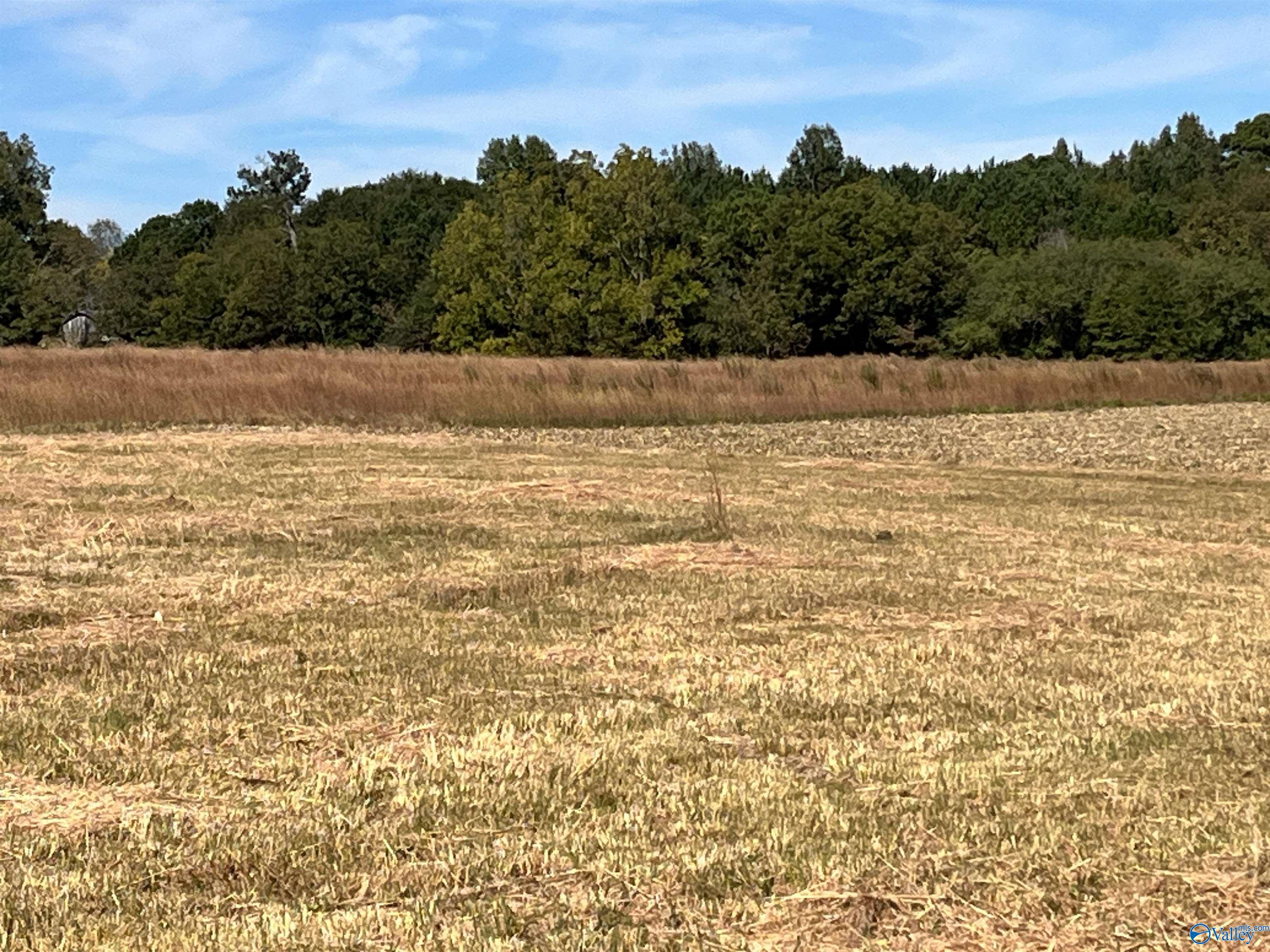 3310 County Road 34, Centre, Alabama image 9