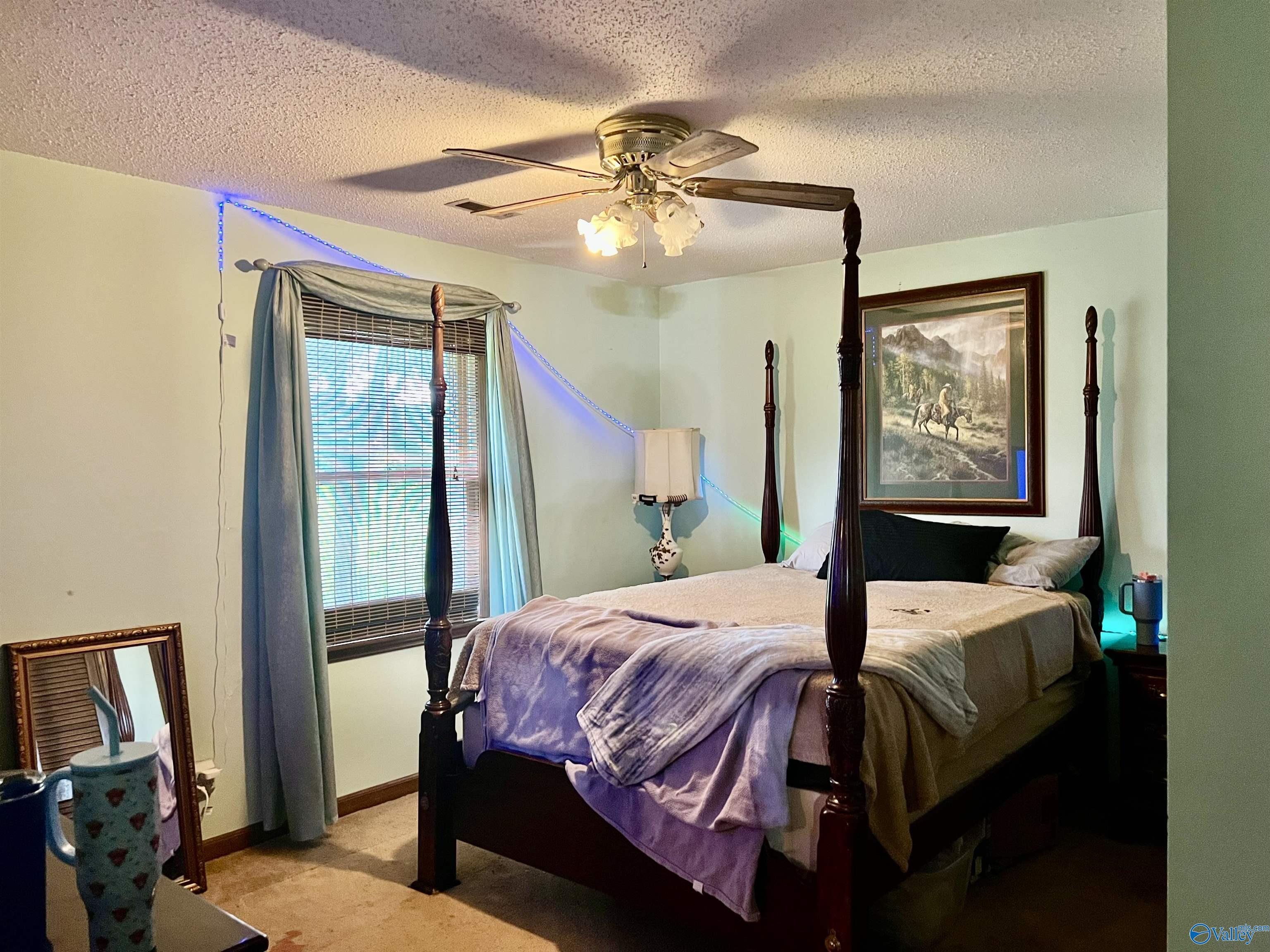 409 County Road 30, Danville, Alabama image 22