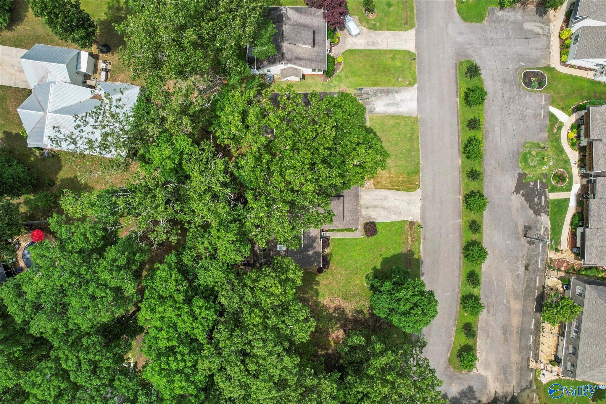 251 Riverbend Circle, Guntersville, Alabama image 36