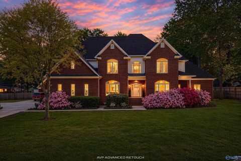 899 Jessie Drive SW Decatur AL 35603