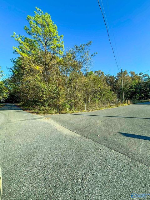 Vacant Land For Sale - 11 SE Wilson Street<br/> Attalla, AL 35954