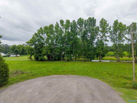 Vacant Land For Sale - 2 LOTS Christopher Avenue<br/> Southside, AL 35907