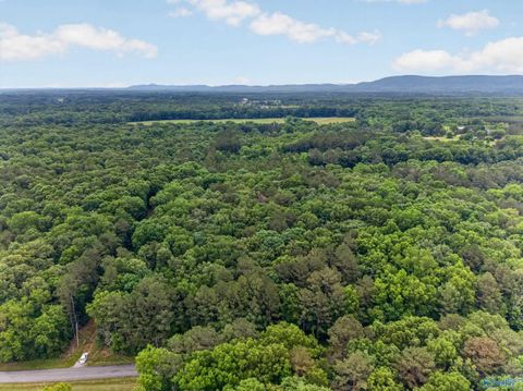 Vacant Land For Sale - 2 LOTS Christopher Avenue<br/> Southside, AL 35907