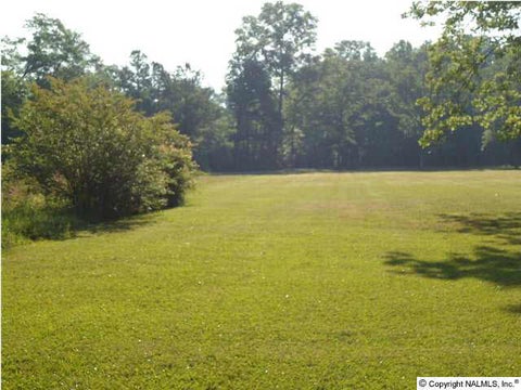Vacant Land For Sale - 1117 Hooks Lake Road<br/> Etowah County, Gadsden, AL 35901