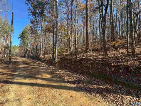 Vacant Land For Sale - 28 ACRES County Road 917<br/> Collinsville, AL 35961