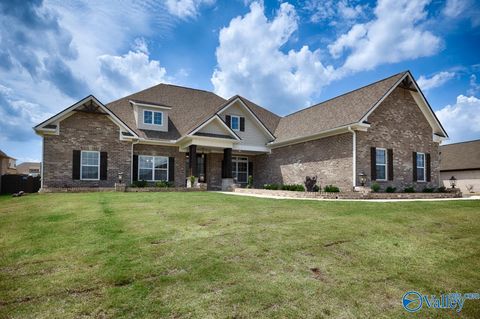 Homes For Sale - 206 Maple Branch Court<br/> Madison County, Meridianville, AL 35759