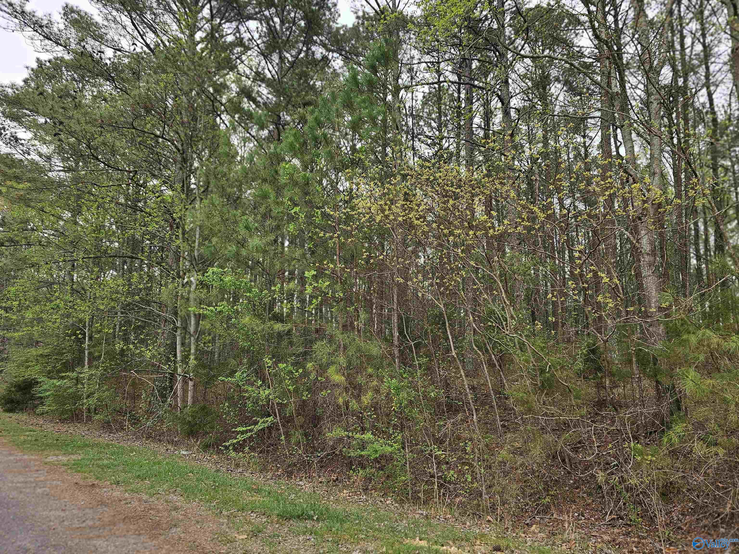 1.12+/- Acres 0 Scenic Drive, Section, Alabama image 27