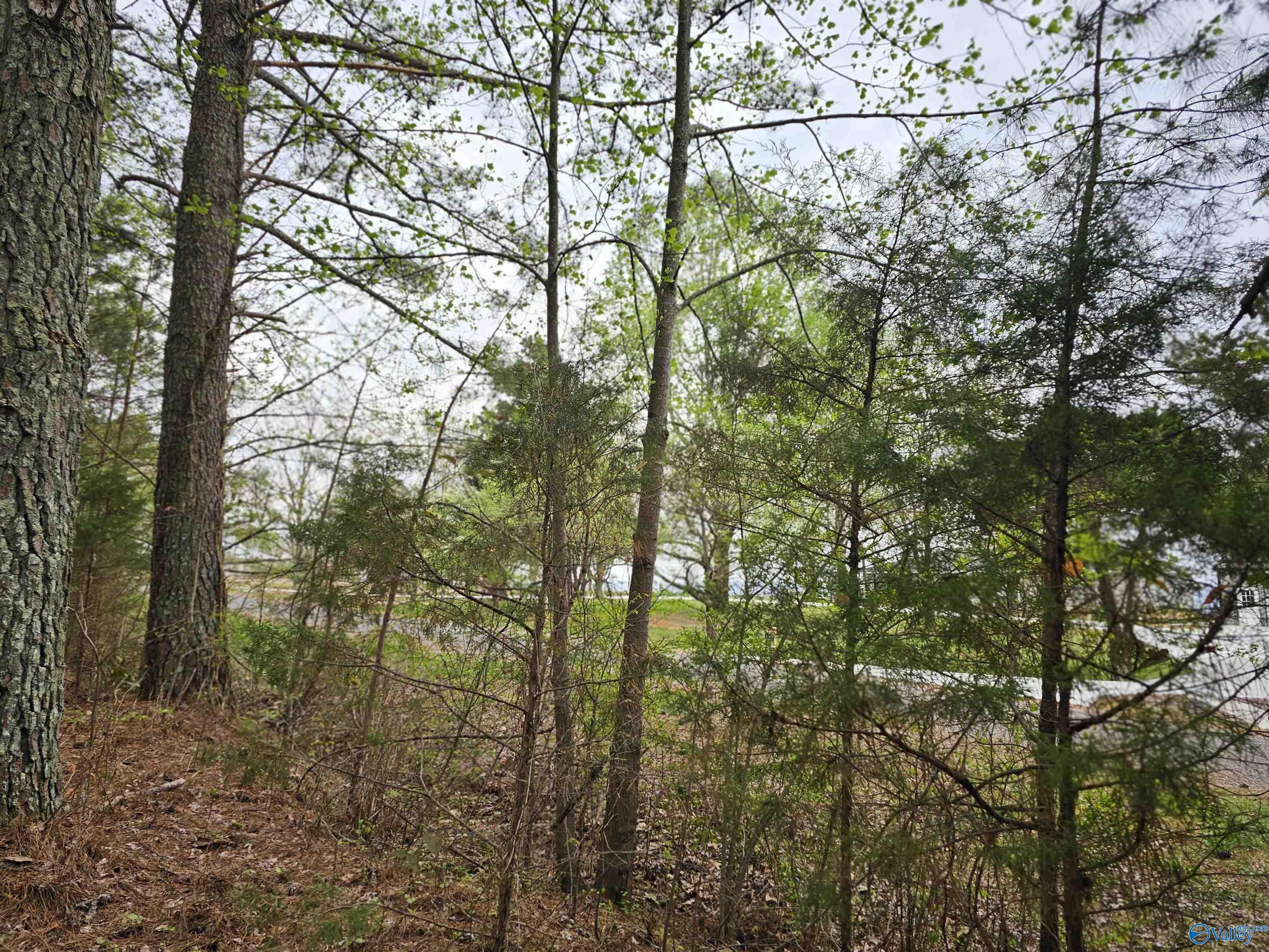 1.12+/- Acres 0 Scenic Drive, Section, Alabama image 21