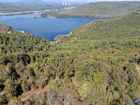 Vacant Land For Sale - LOT 4 County Road 224<br/> Dutton, AL 35744