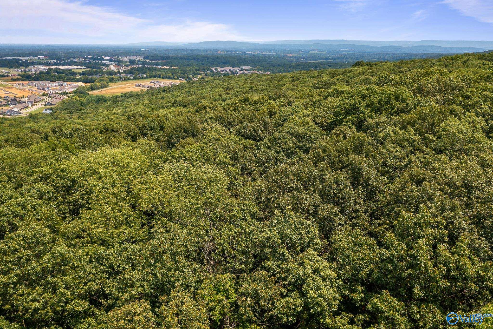 64 Acres Hawks Way, Huntsville, Alabama image 23