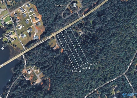 Vacant Land For Sale - TRACT A13 Highway 79<br/> Scottsboro, AL 35769