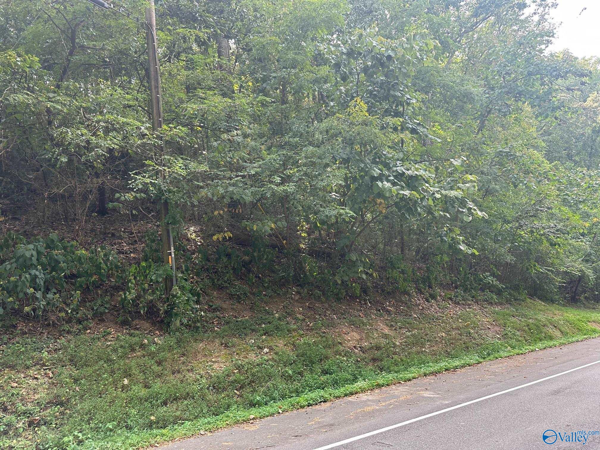 Lot 18 Lusk Street, Guntersville, Alabama image 2