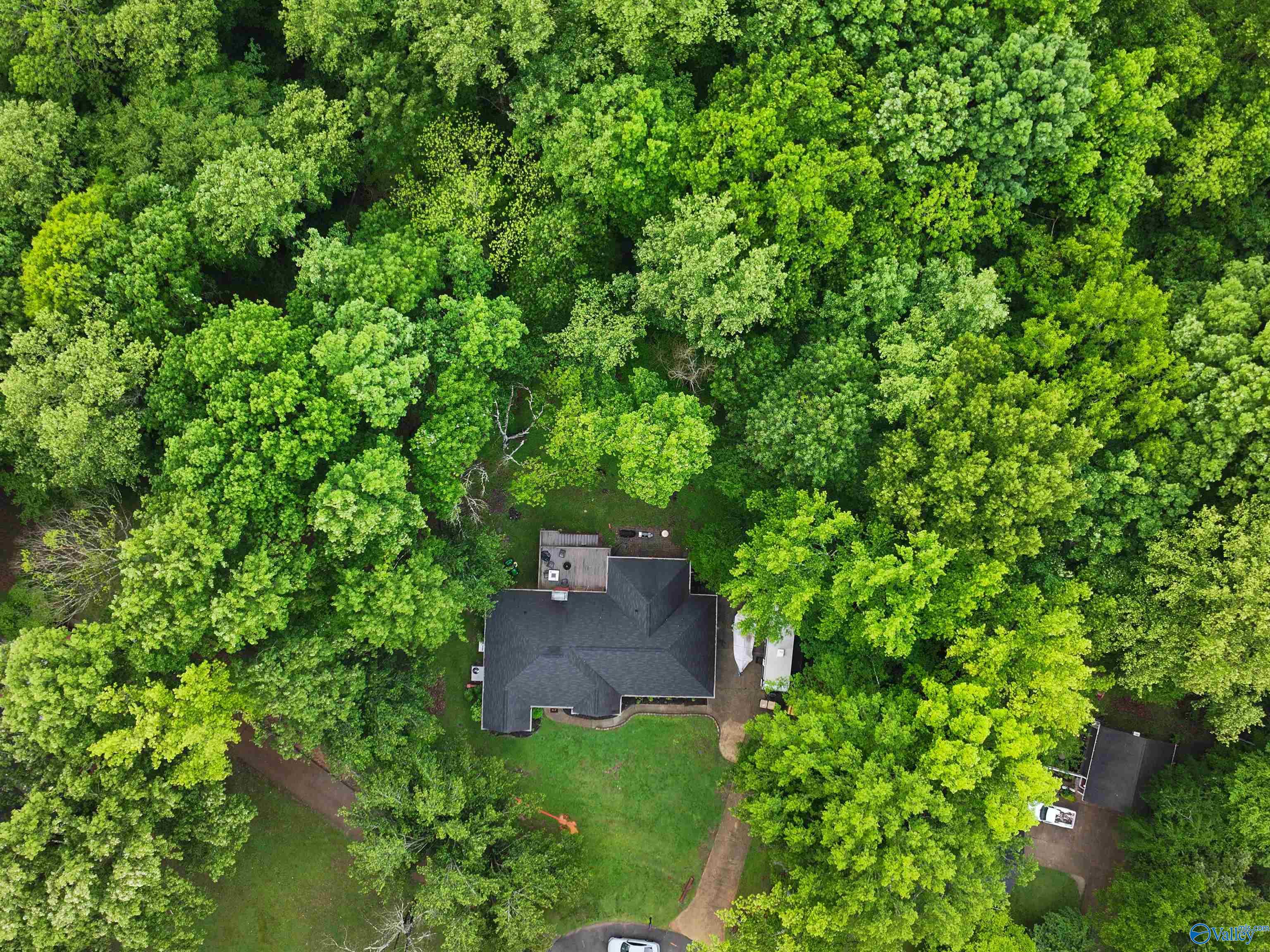 18275 Locust Lane, Elkmont, Alabama image 24