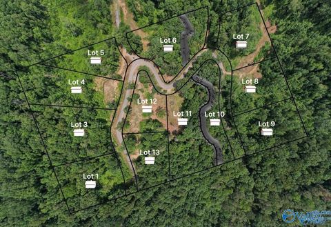 Vacant Land For Sale - LOT 13 Wyeth Drive<br/> Guntersville, AL 35976