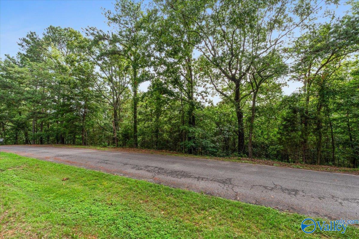 Lot 78 Edgewood Drive, Scottsboro, Alabama image 15