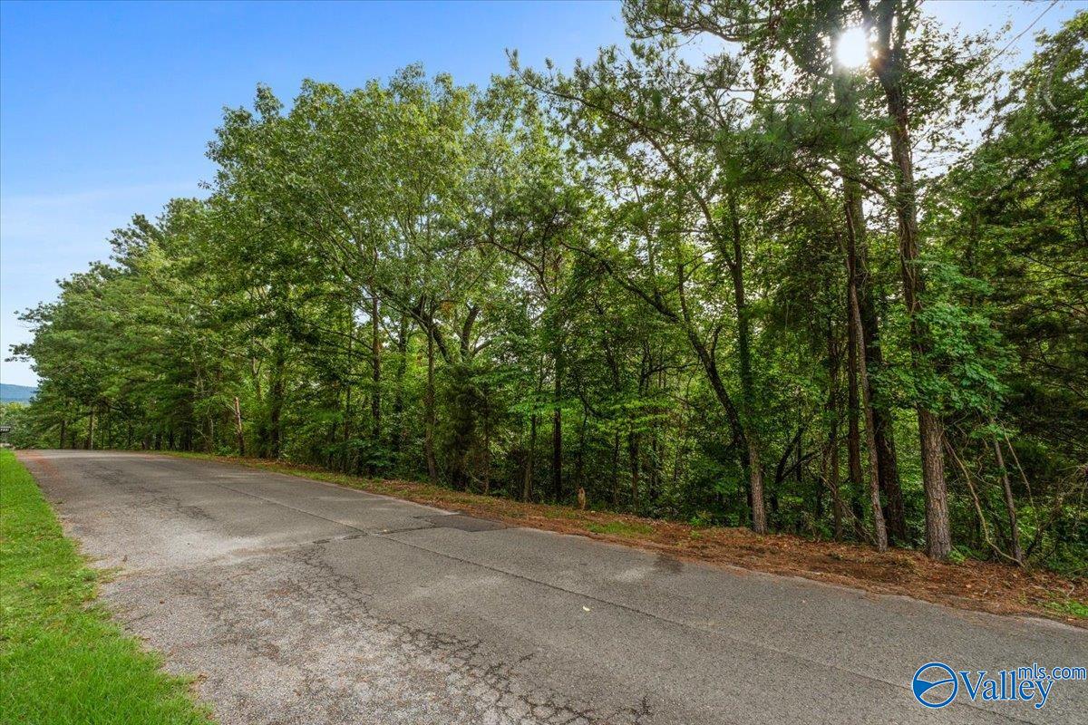 Lot 78 Edgewood Drive, Scottsboro, Alabama image 14