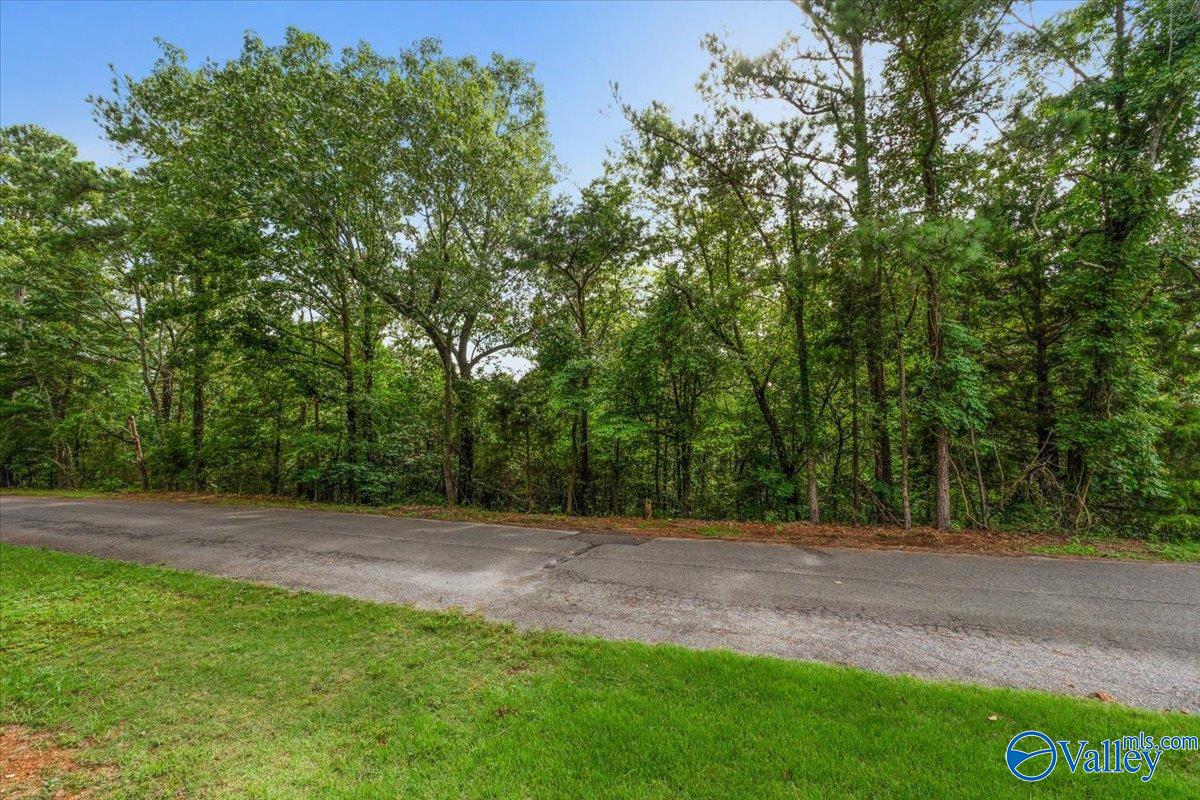 Lot 78 Edgewood Drive, Scottsboro, Alabama image 16