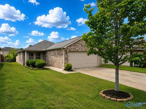 Photo of 28031 Chasebrook Drive, Harvest, AL 35749 (MLS # 21919442)
