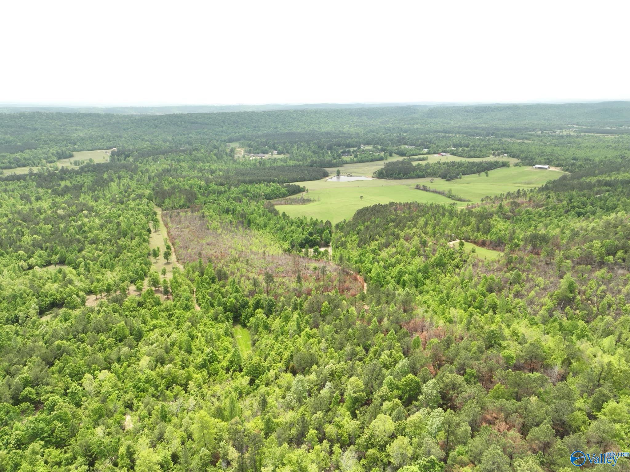 170 Acres County Road 21, Ashville, Alabama image 4