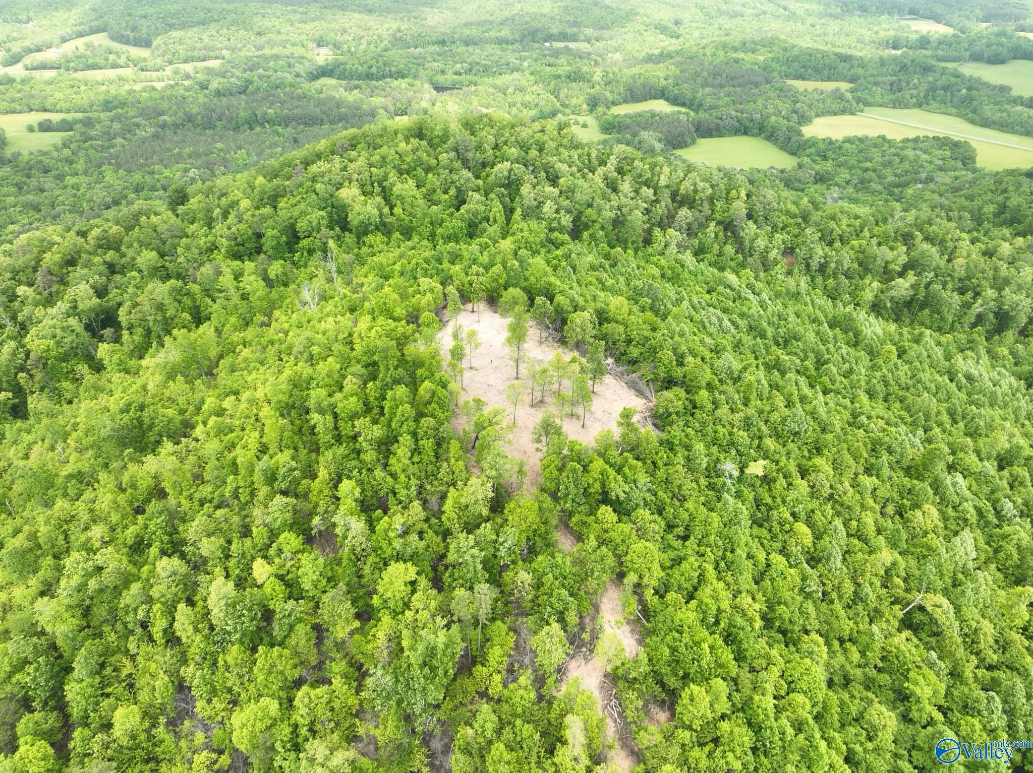 170 Acres County Road 21, Ashville, Alabama image 8