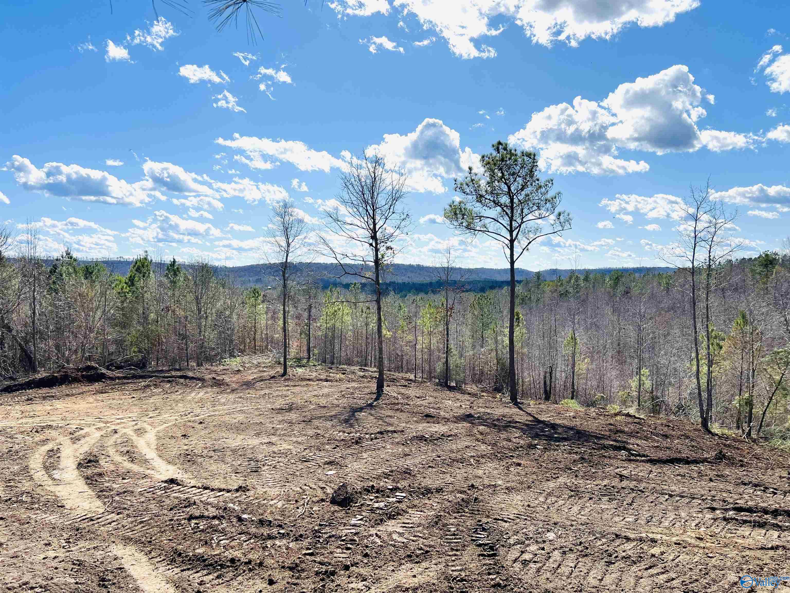 170 Acres County Road 21, Ashville, Alabama image 2