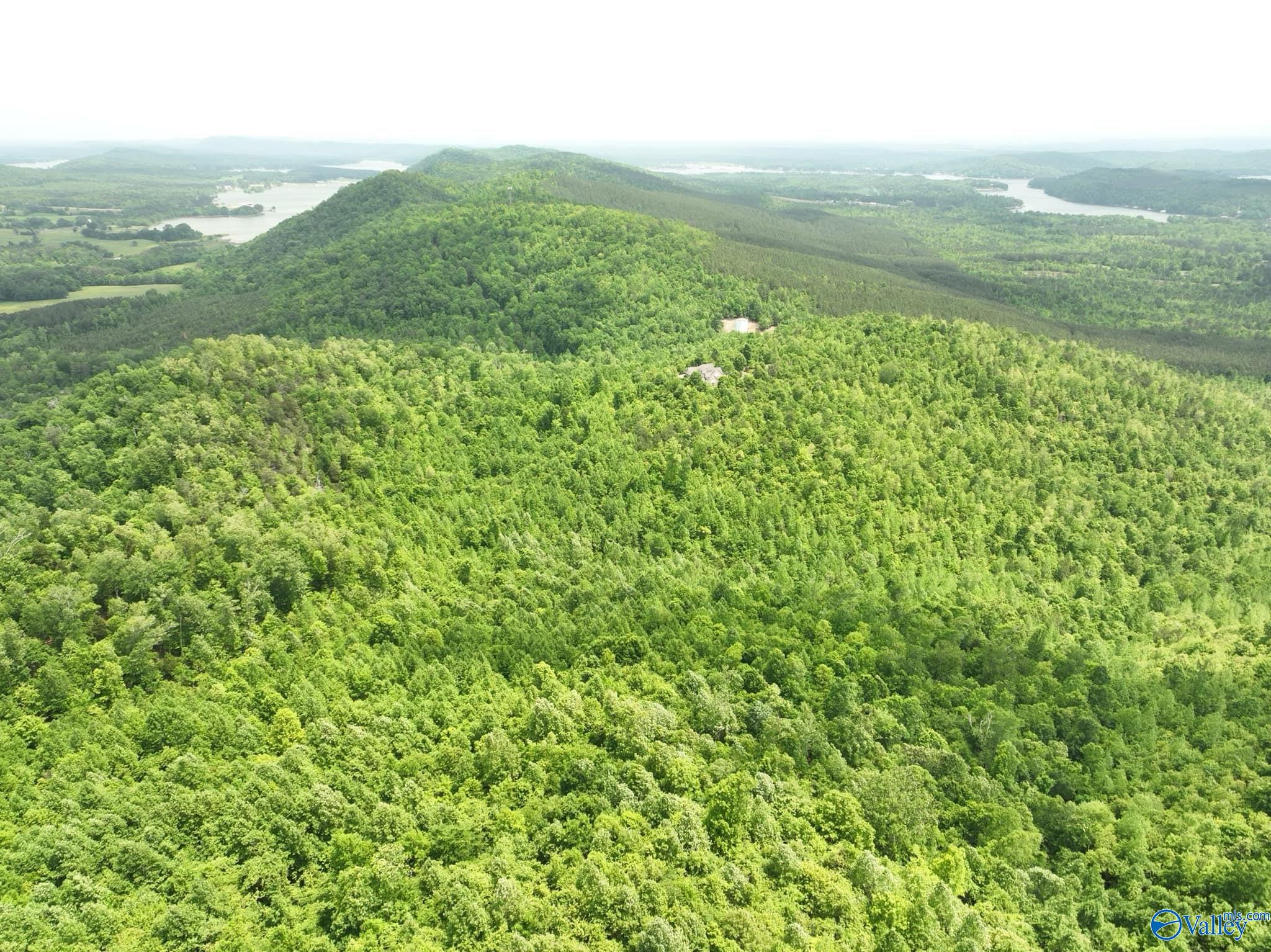 170 Acres County Road 21, Ashville, Alabama image 9