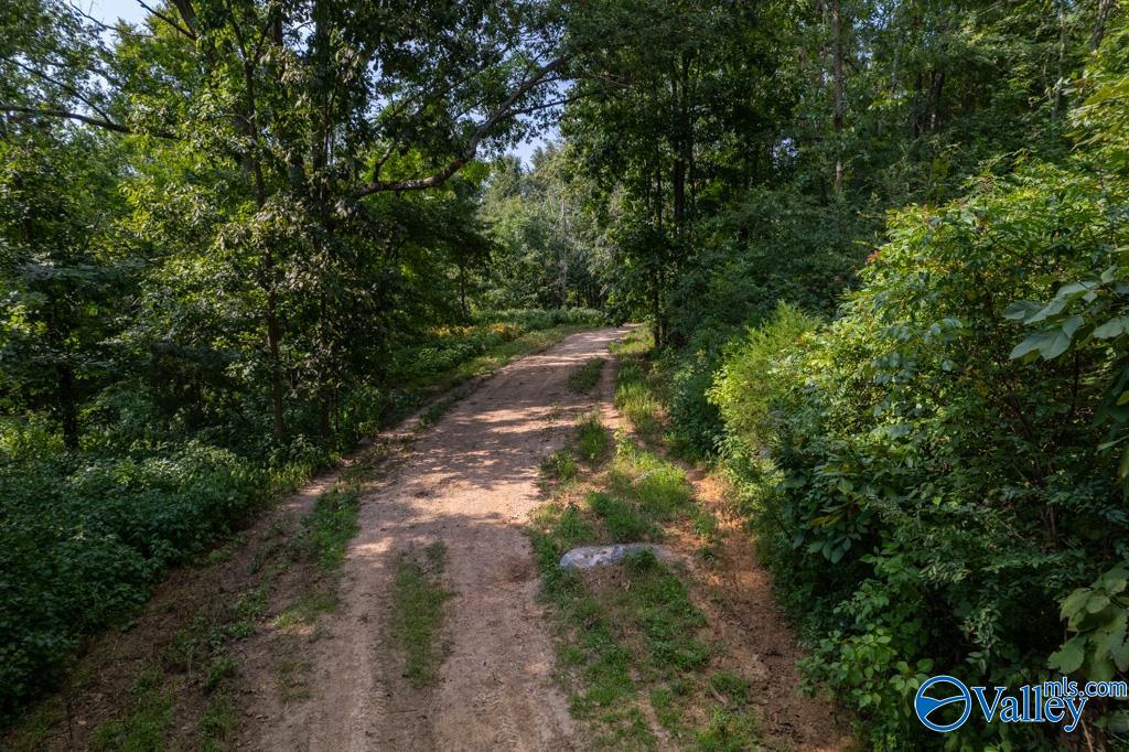 310 County Road 530, Collinsville, Alabama image 9