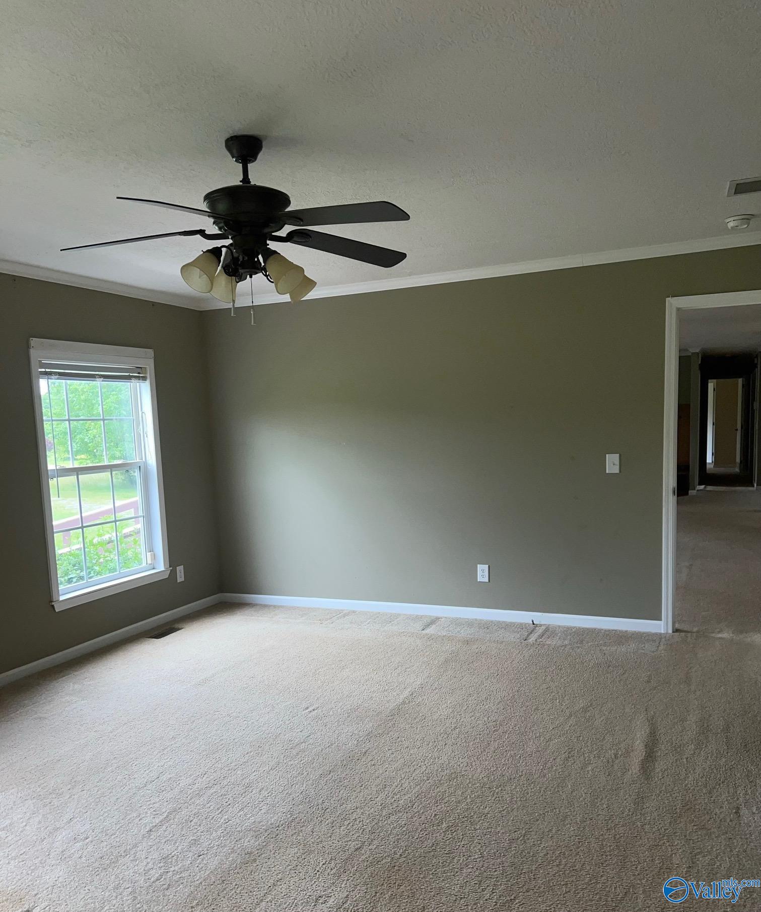 812 Cotaco Florette Road, Somerville, Alabama image 7