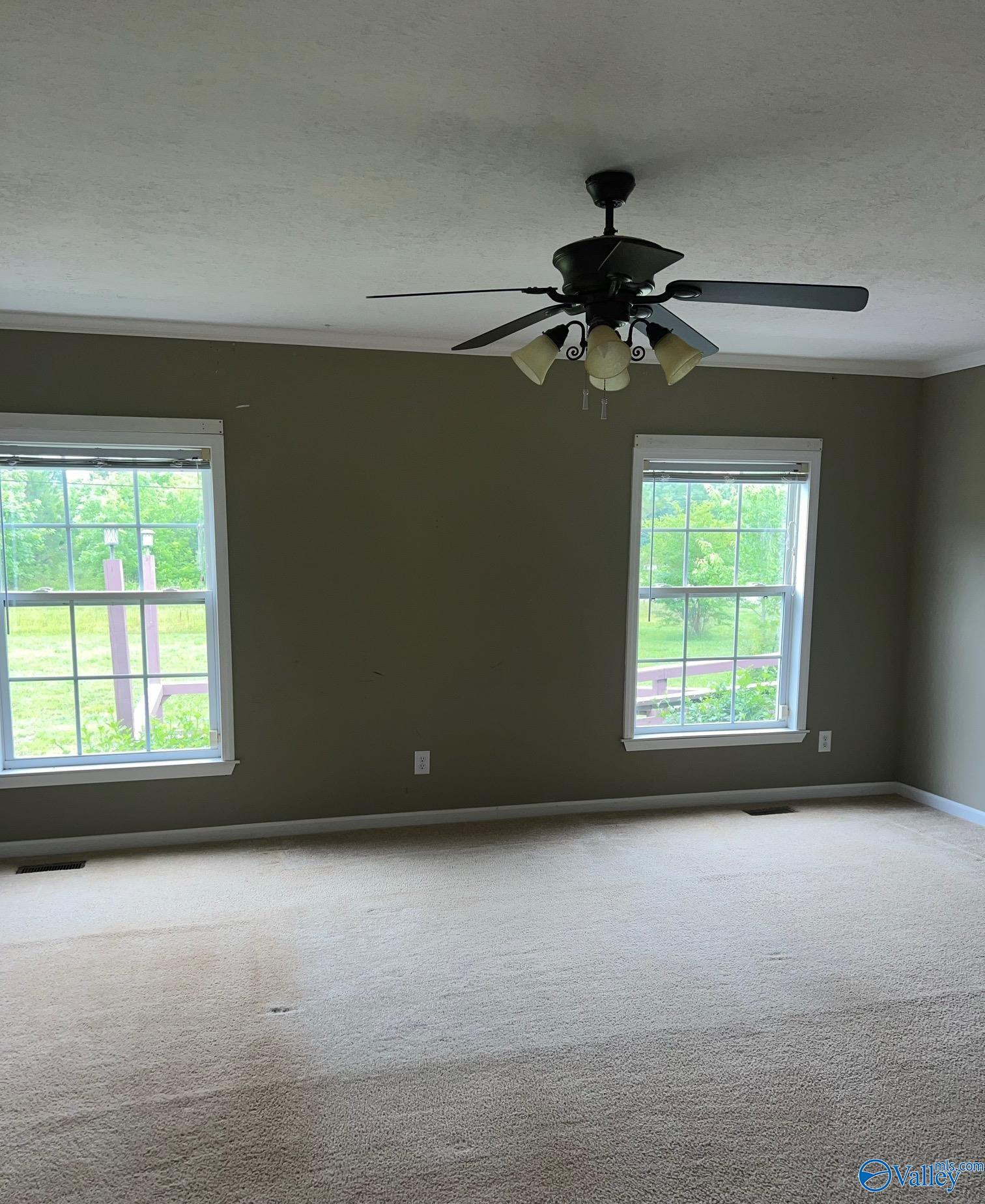 812 Cotaco Florette Road, Somerville, Alabama image 6
