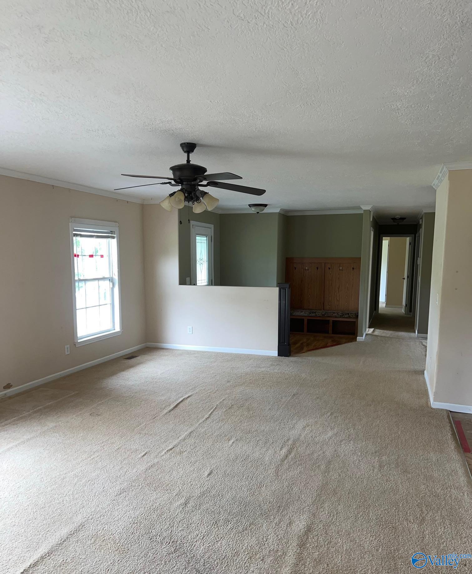 812 Cotaco Florette Road, Somerville, Alabama image 3