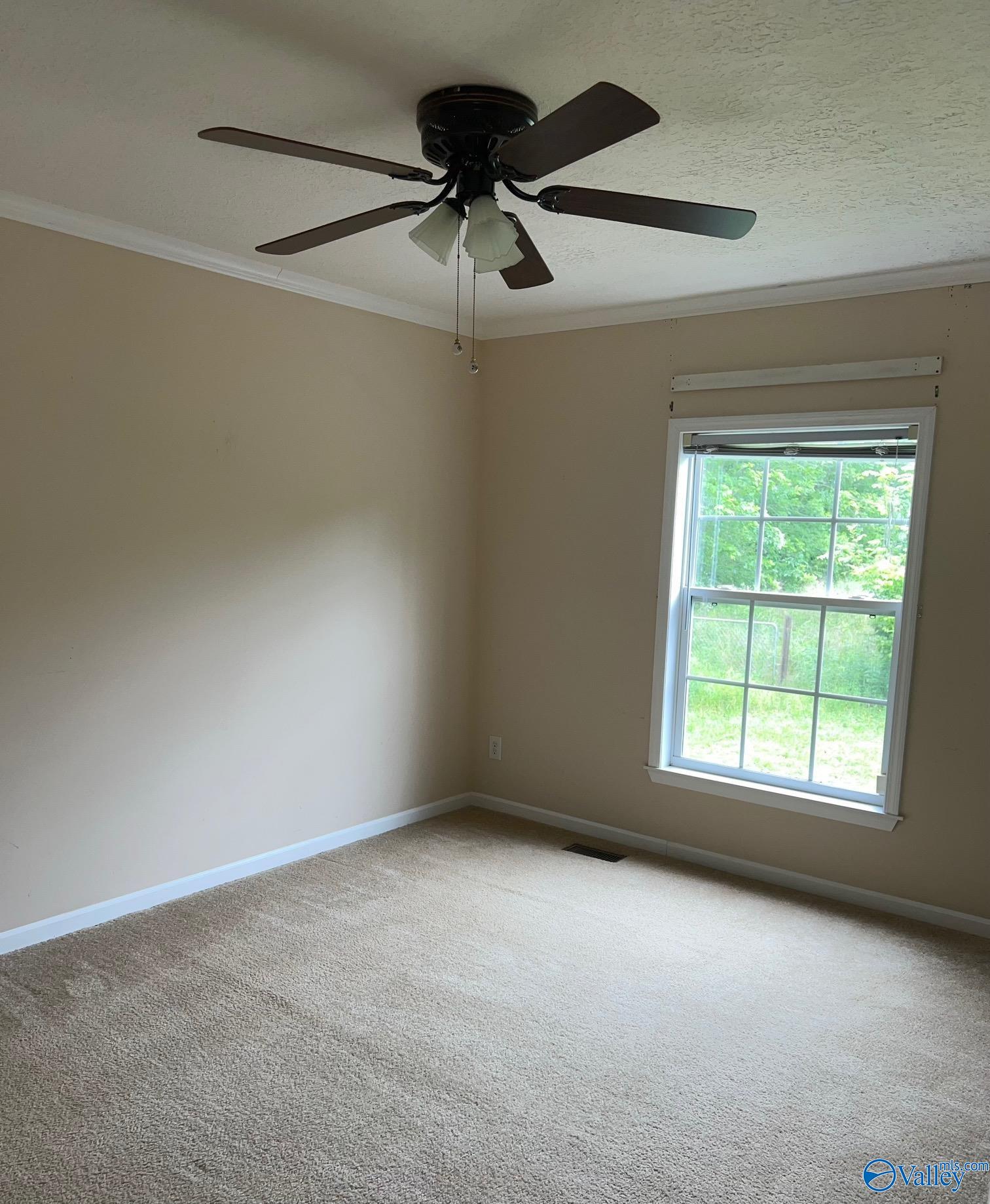 812 Cotaco Florette Road, Somerville, Alabama image 10