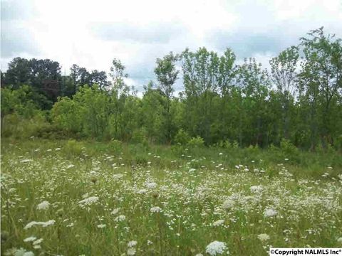 Vacant Land For Sale - Alabama Highway 24<br/> Trinity, AL 35673