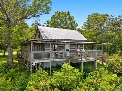 Photo of 25669 County Road 89, Mentone, AL 35984 (MLS # 21911671)