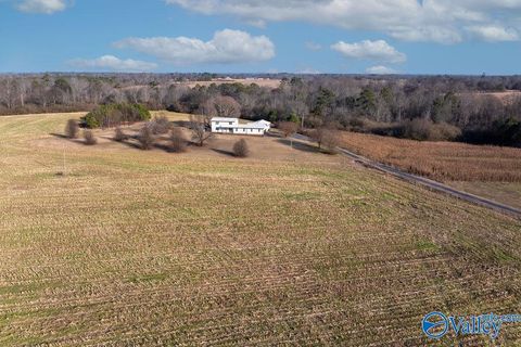 Photo of 374 County Road 603, Section, AL 35771 (MLS # 21909772)