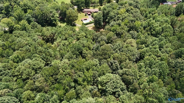 22 GANDYS COVE RD, FALKVILLE, AL 35622 - Image 7d60b663ab82c8f5091d90a9bc9316a5/624941720