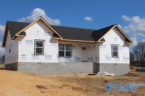 Homes For Sale - 368 County Road 244<br/> Fort Payne, AL 35968