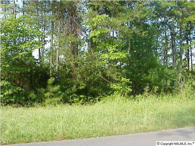 Tract 37 Lake Blvd, Scottsboro, Alabama image 1