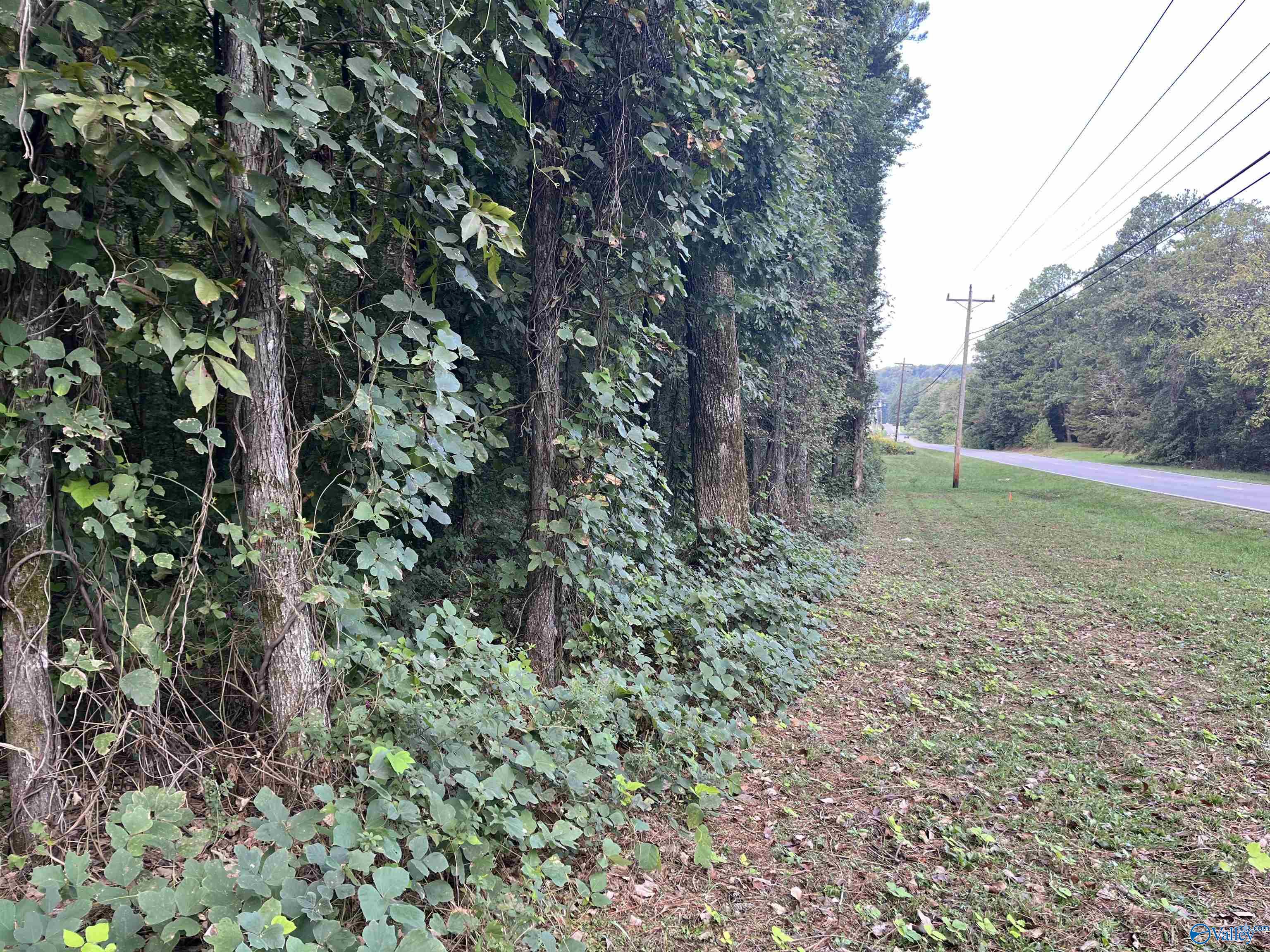 509 Austinville Flint Road, Decatur, Alabama image 10