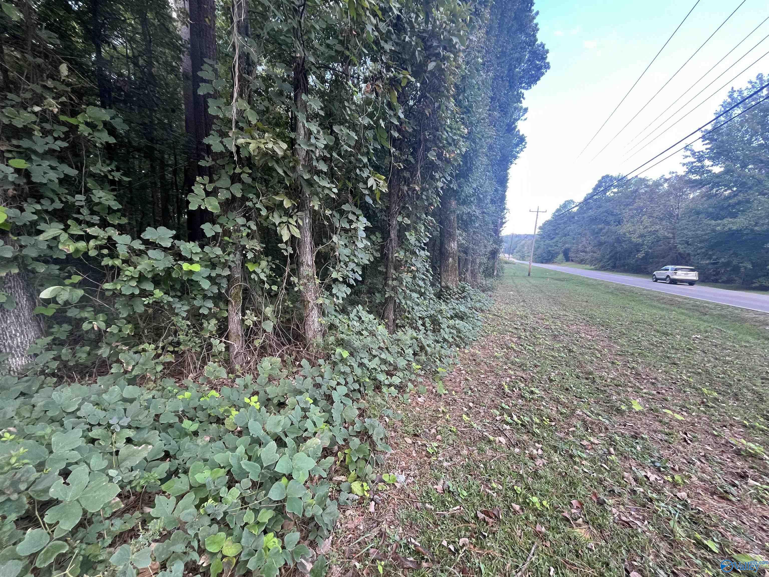 509 Austinville Flint Road, Decatur, Alabama image 9
