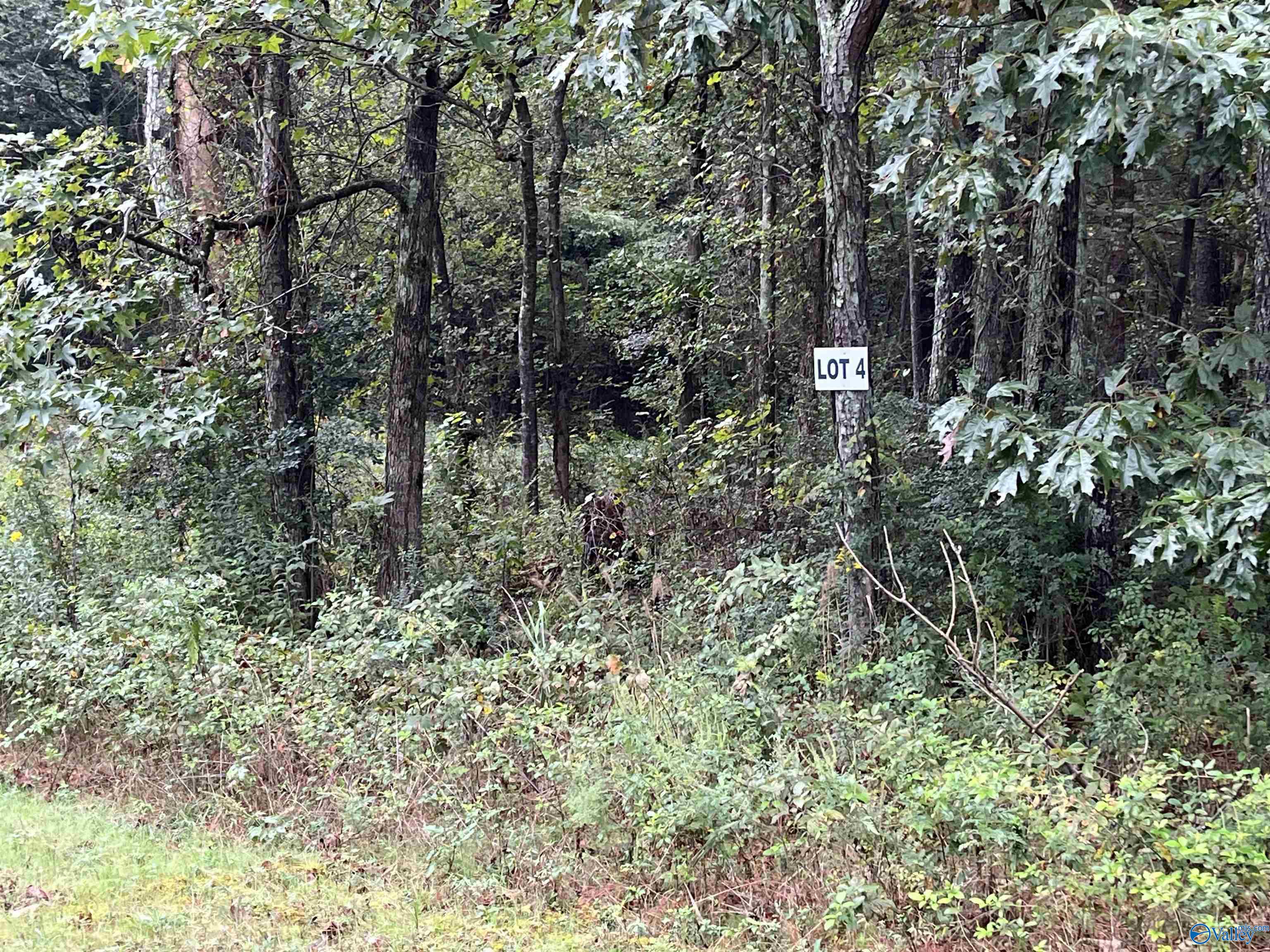 509 Austinville Flint Road, Decatur, Alabama image 2