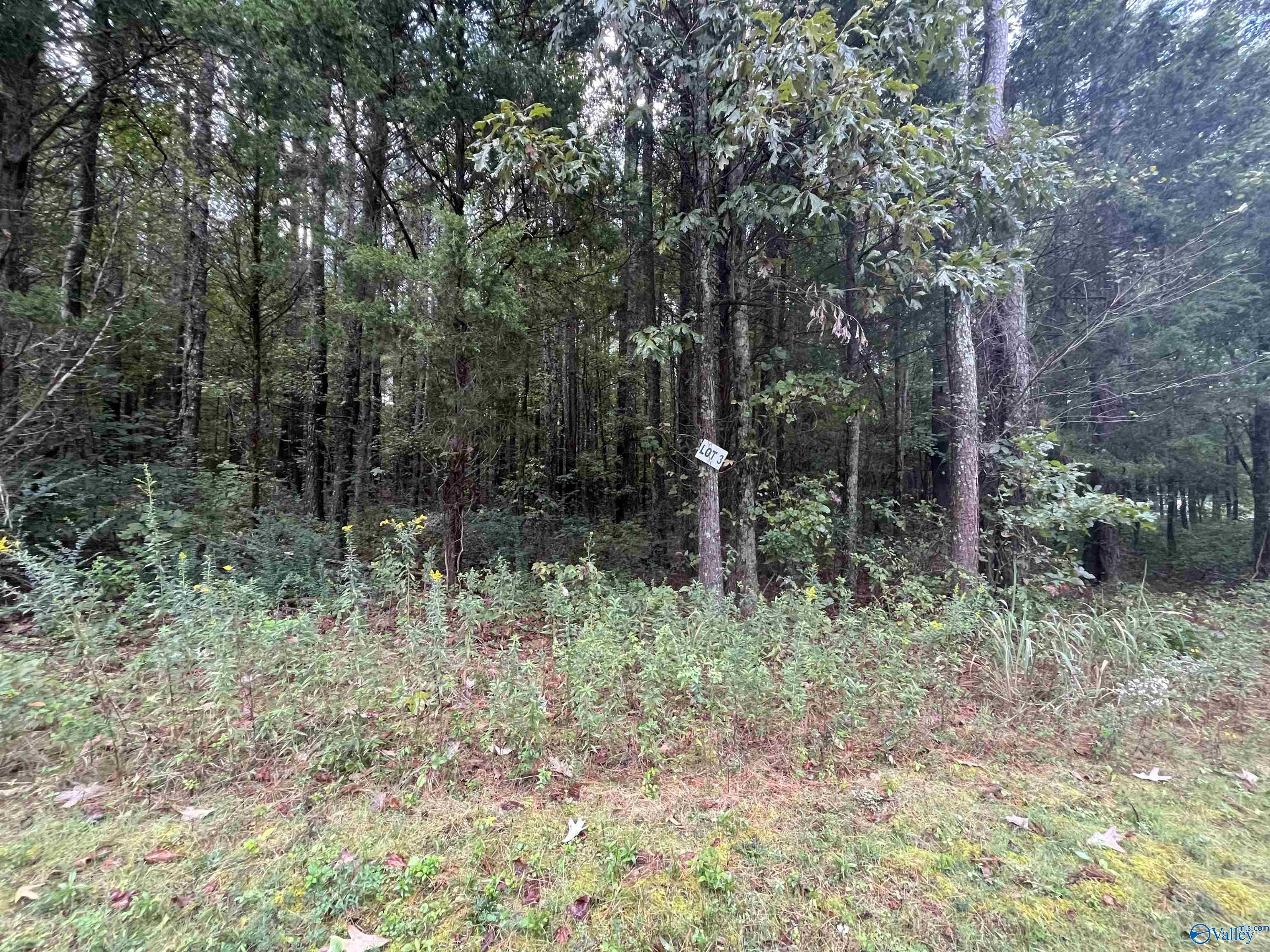 509 Austinville Flint Road, Decatur, Alabama image 3