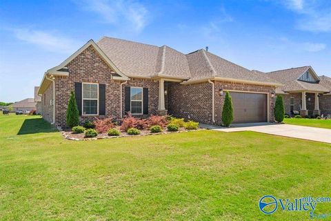 Homes For Sale - 100 Tanner Drake Court<br/> New Market, AL 35761