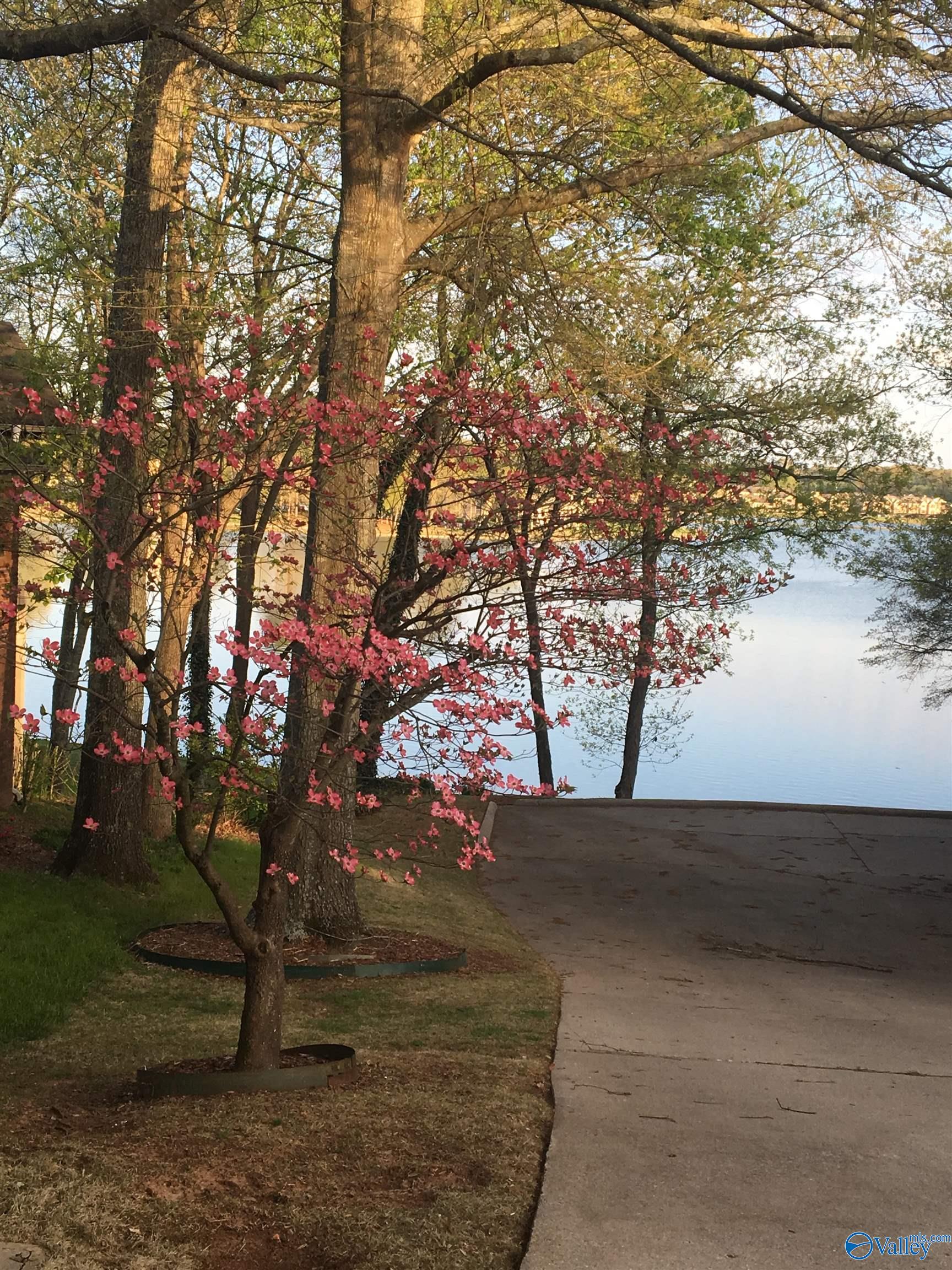 Madison, Alabama 35758, United States, 5 Bedrooms Bedrooms, ,4 BathroomsBathrooms,Residential,Pending,109239