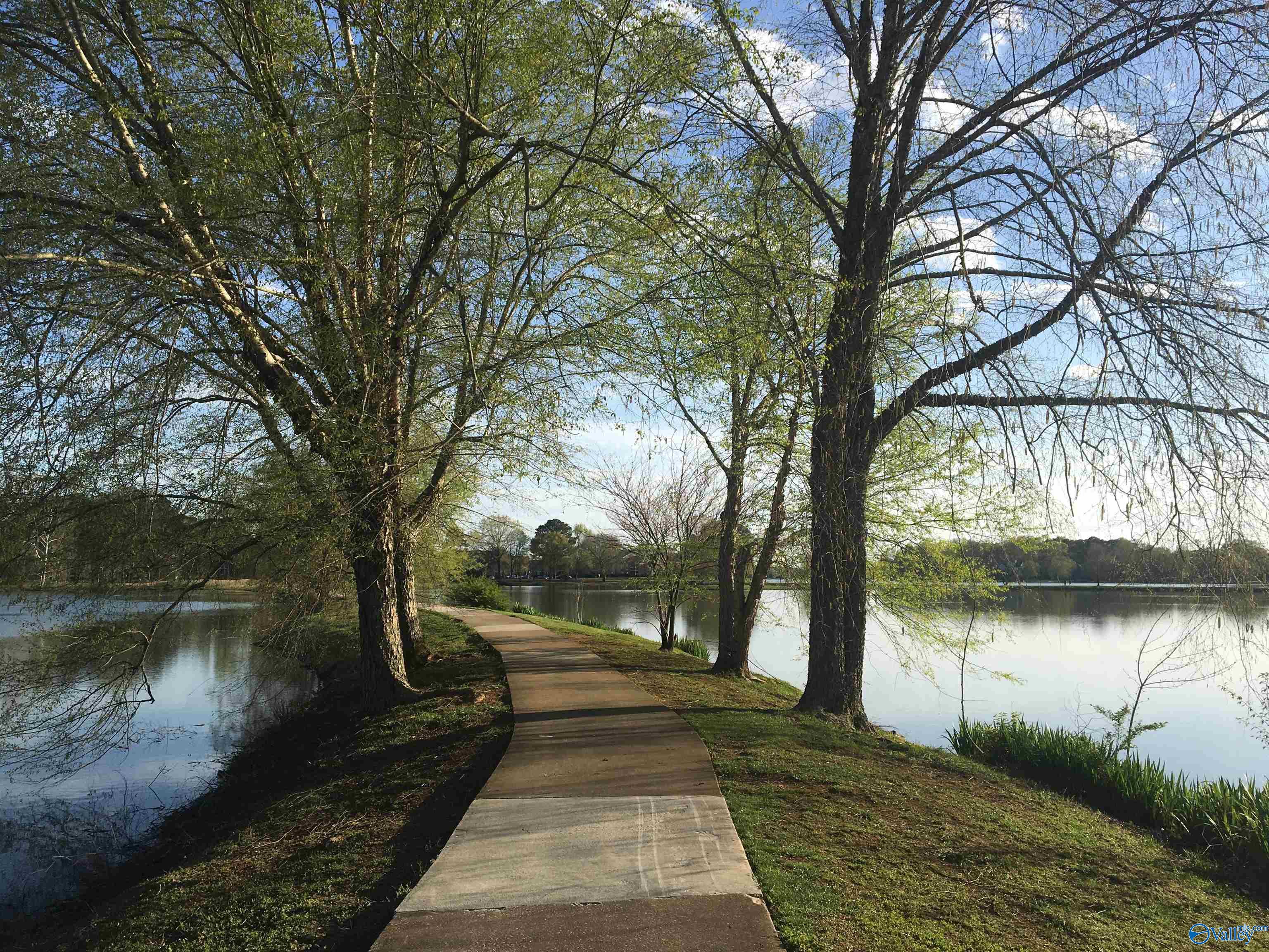 Madison, Alabama 35758, United States, 5 Bedrooms Bedrooms, ,4 BathroomsBathrooms,Residential,Pending,109239