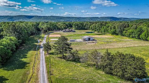 Homes For Sale - 1210 Albert Mann Road<br/> New Hope, AL 35760