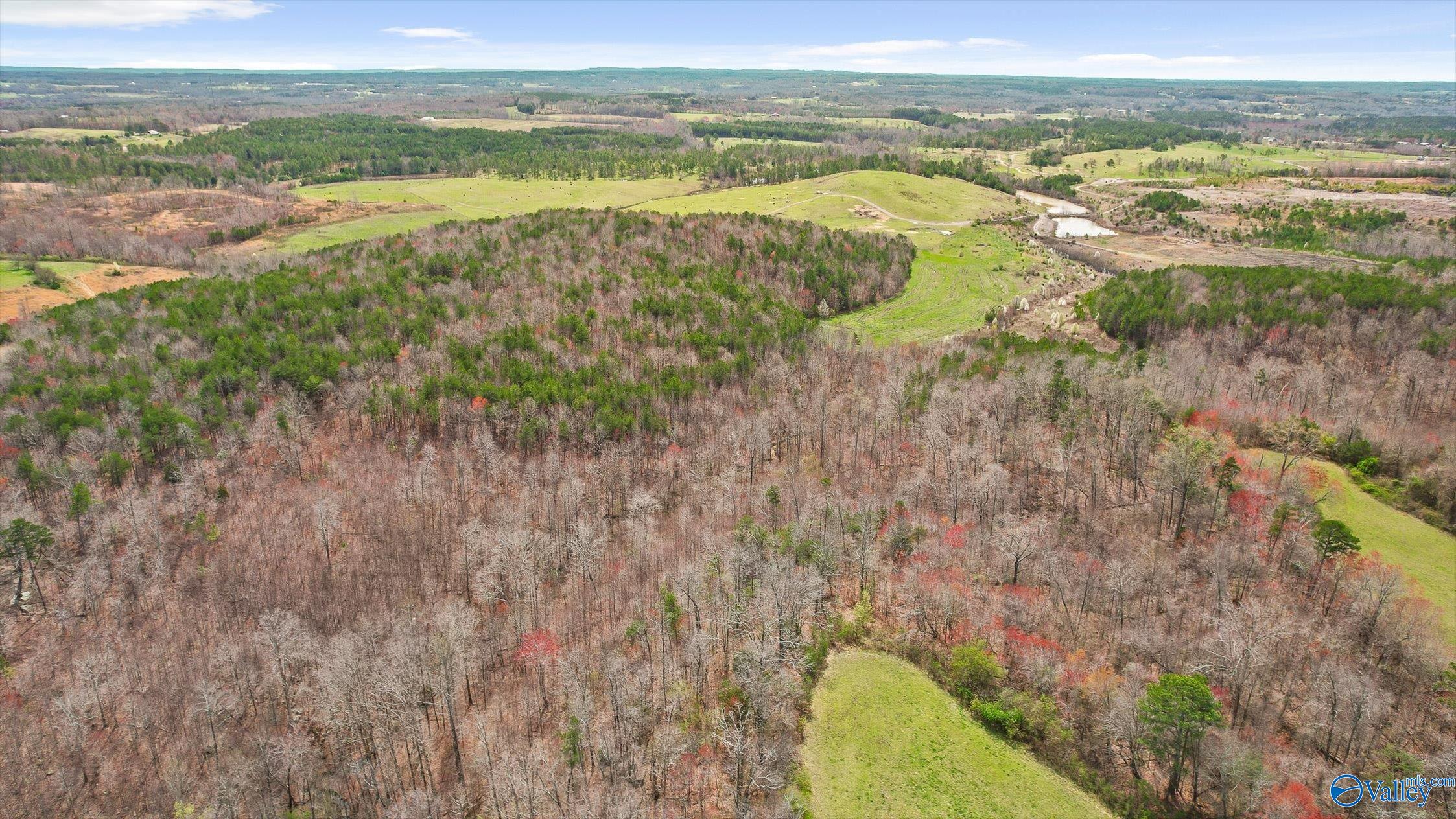 25052 Alabama Highway 71, Flat Rock, Alabama image 34