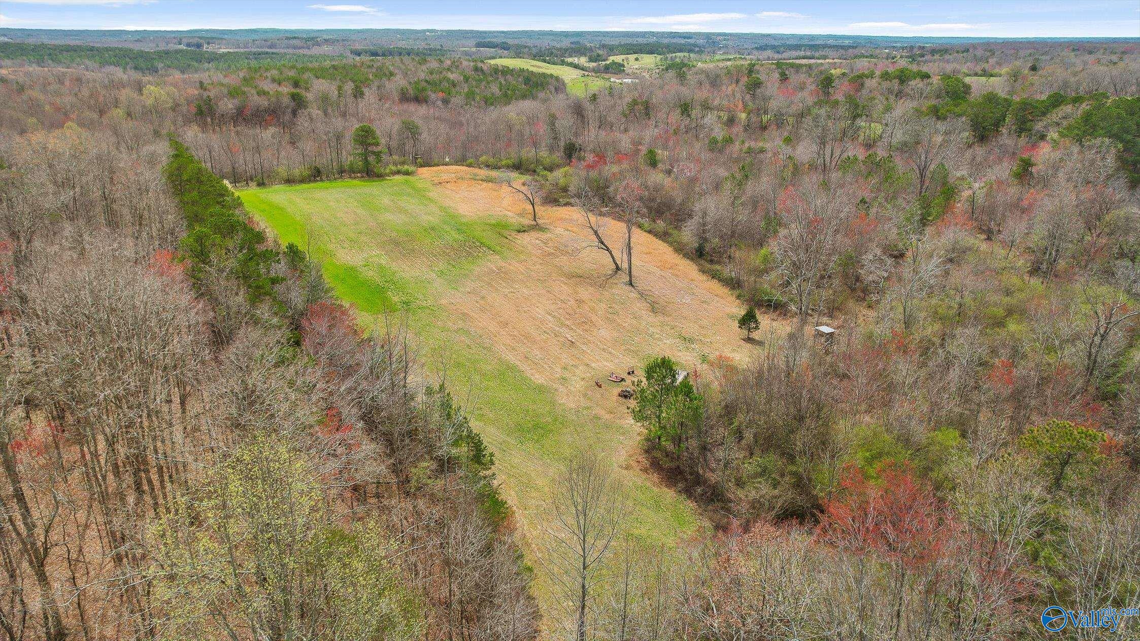 25052 Alabama Highway 71, Flat Rock, Alabama image 5