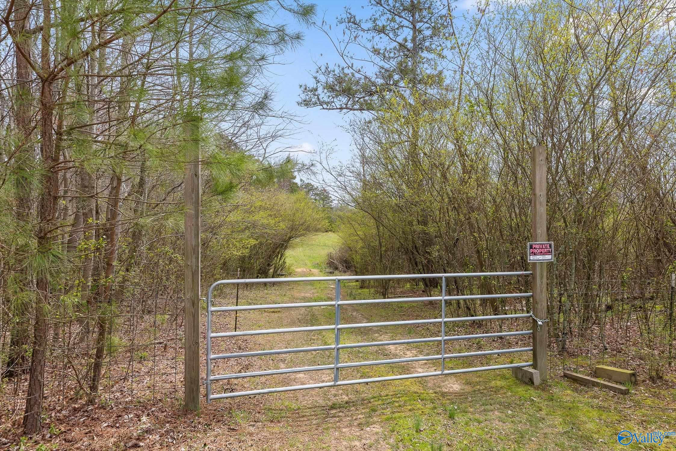 25052 Alabama Highway 71, Flat Rock, Alabama image 27